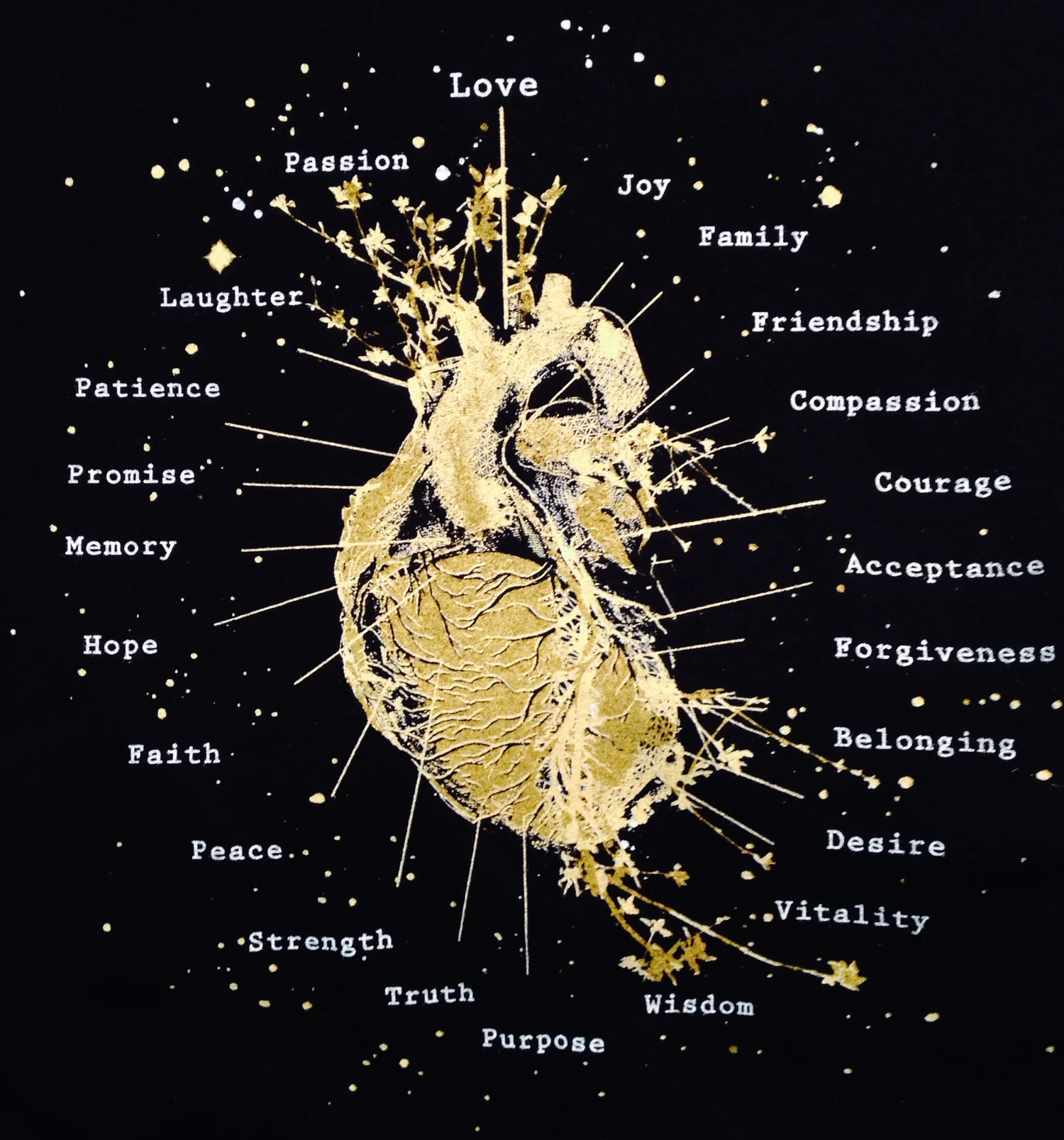 heart.jpg