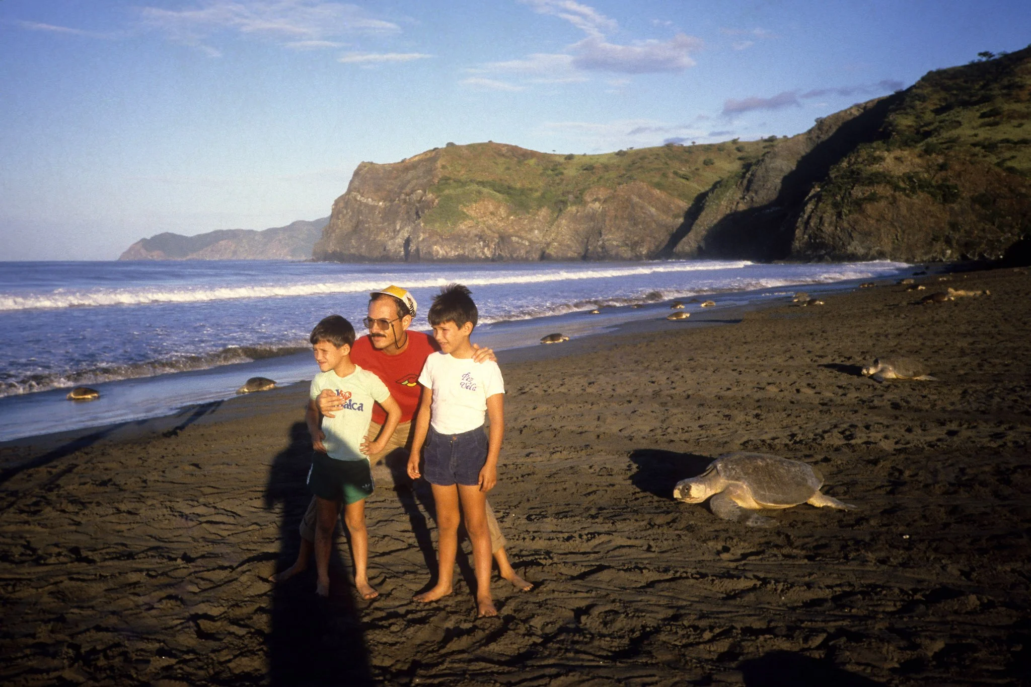 Playa Naranjo, Santa Rosa National Park, 1987. Arribada, hundreds of turtles nesting in sync.