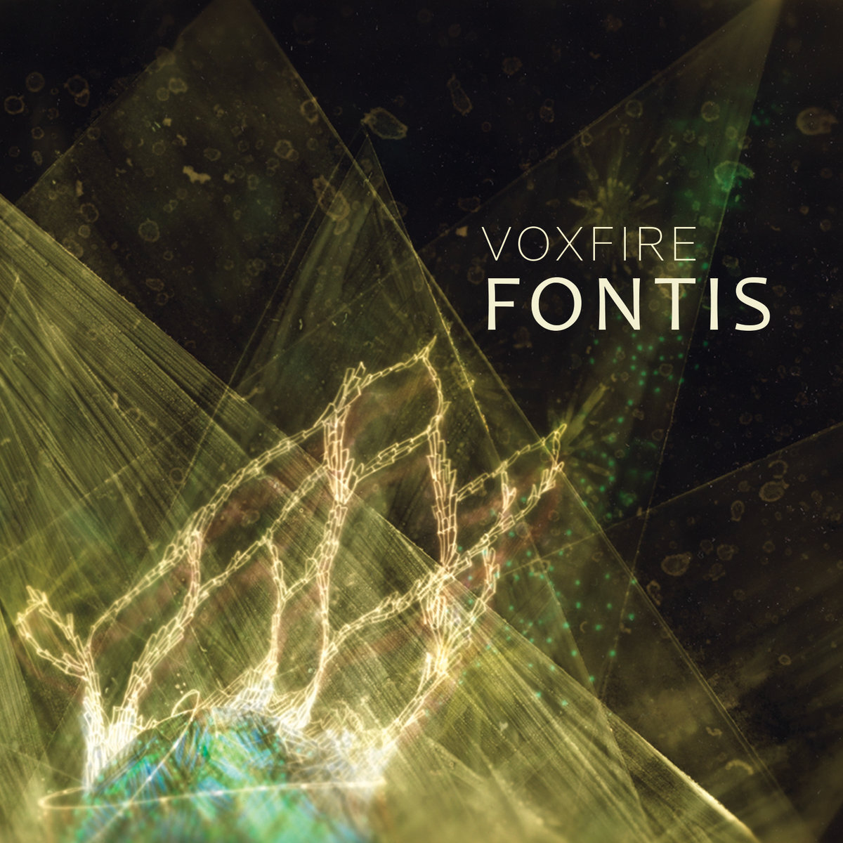 Voxfire // Fontis