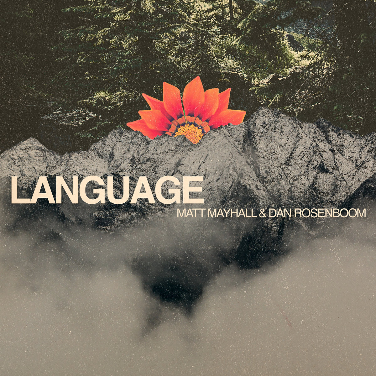 Matt Mayhall & Dan Rosenboom / Language