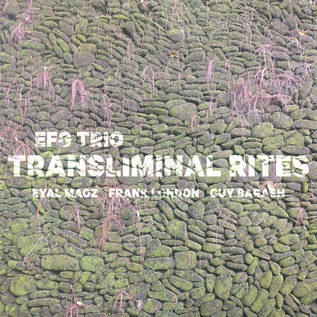 EFG Trio: Transliminal Rites