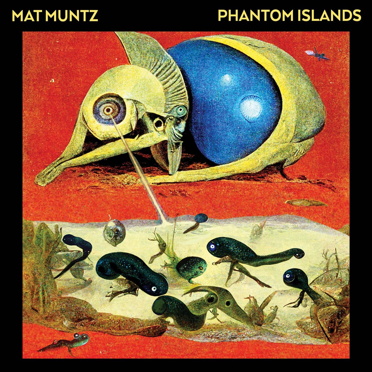 Mat Muntz // Phantom Islands