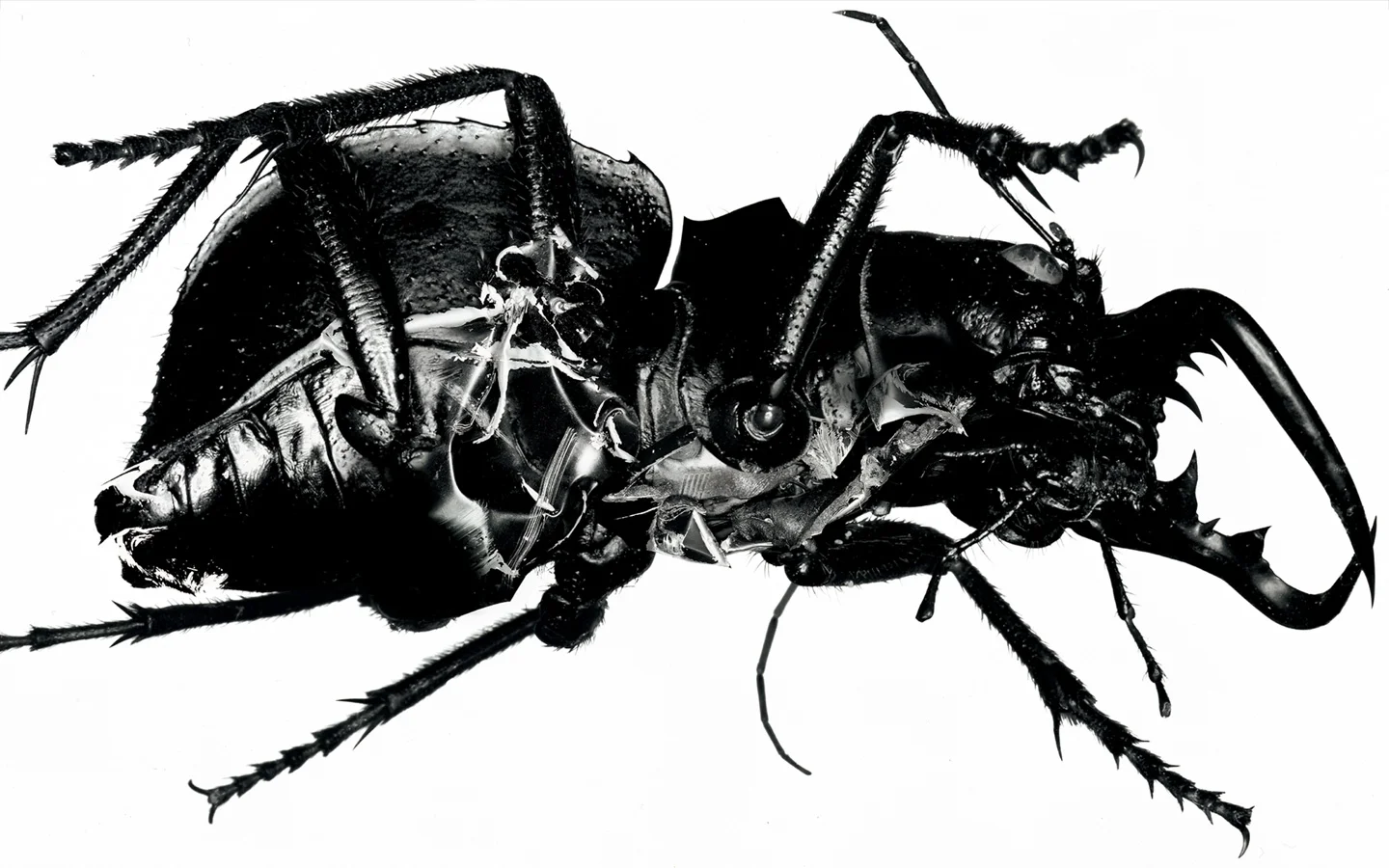 Massive Attack - Essential Mix BBC