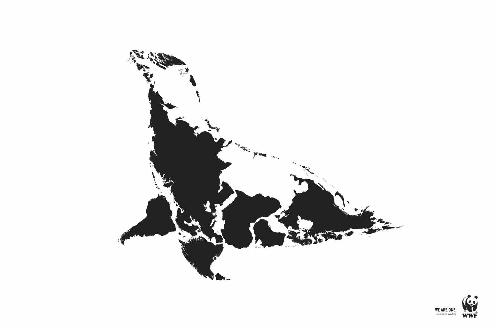 sea_lion_aotw.jpg