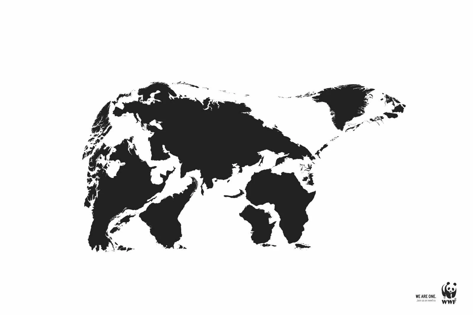 polar_bear_aotw.jpg