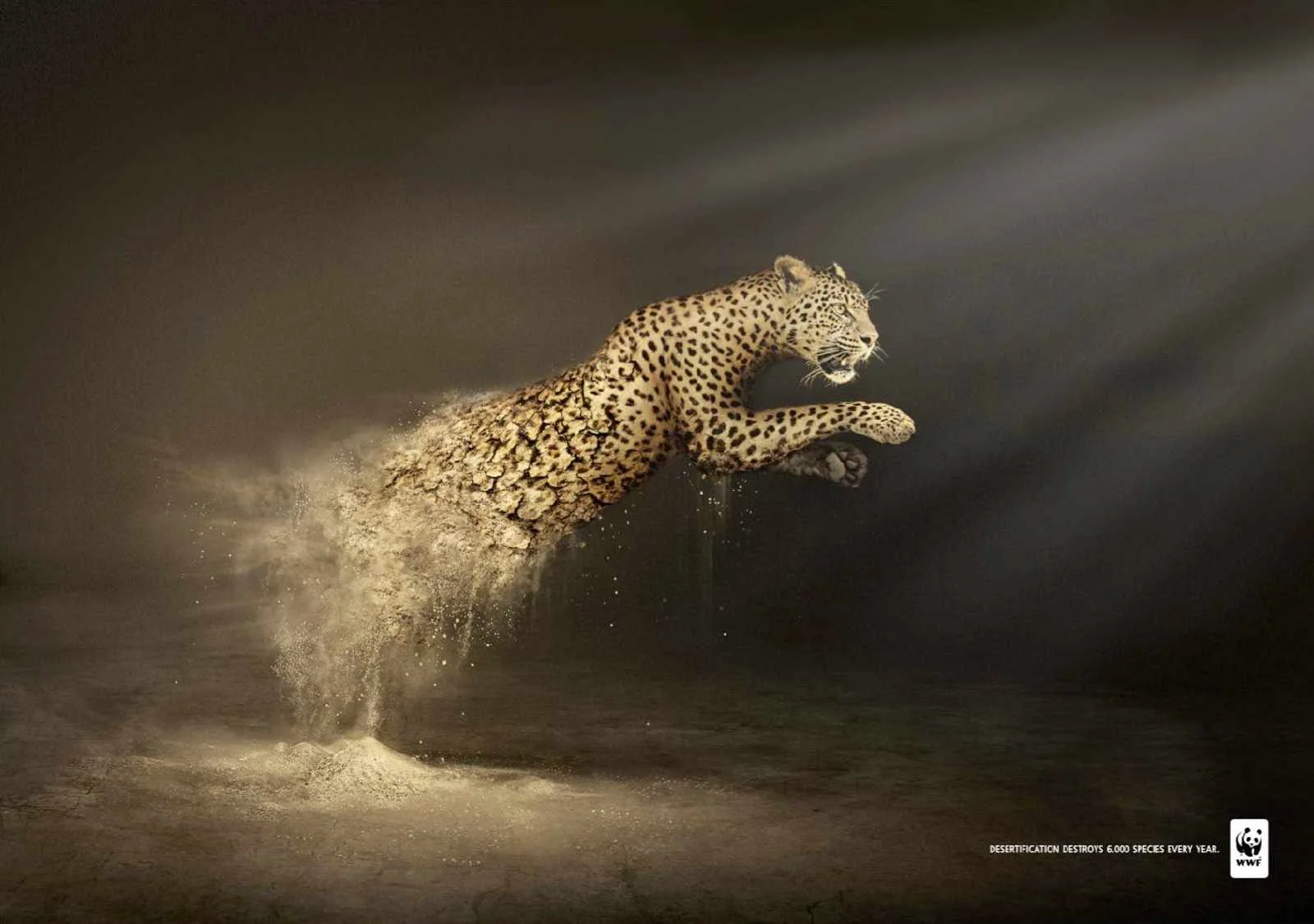 wwf_leopard_0.jpg