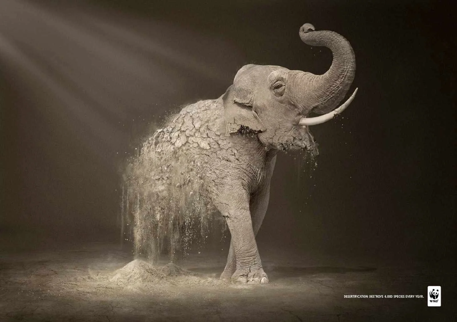 wwf_elephant.jpg