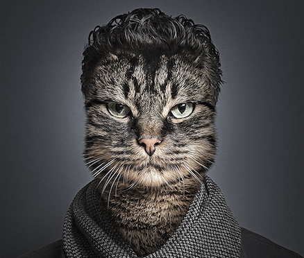 Cats Dressed As Their Owners