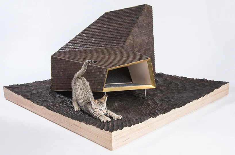design shelters for cats