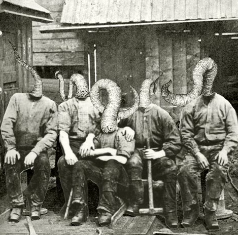 Käptn Peng - Sockosophie