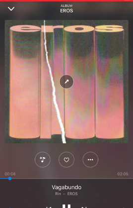 RIN - Vagabundo