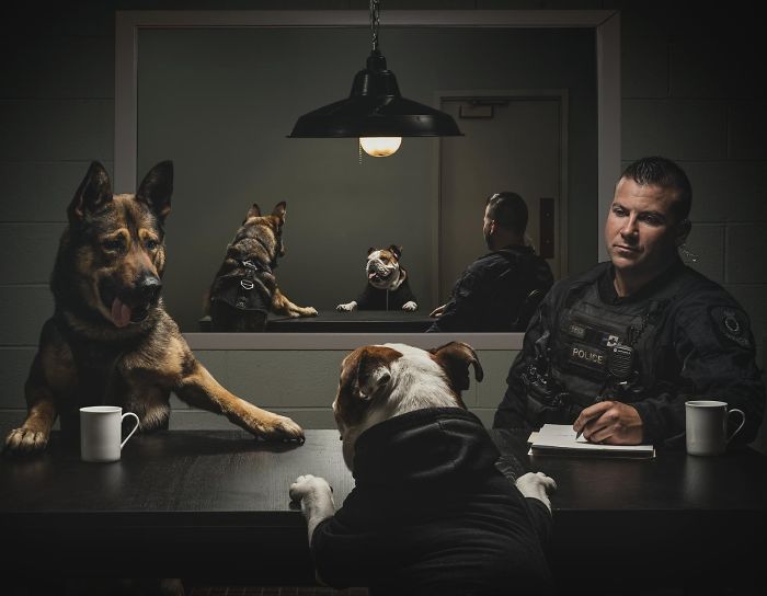 vancouver-police-department-charity-dog-calendar-2019-3-5bd16db14b763__700.jpg
