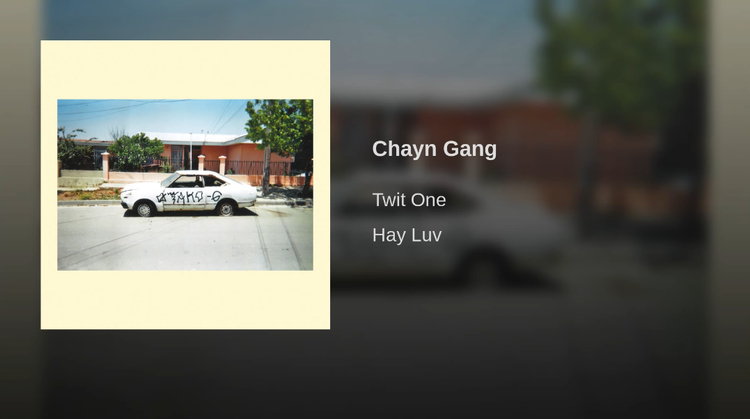 Chayn Gang