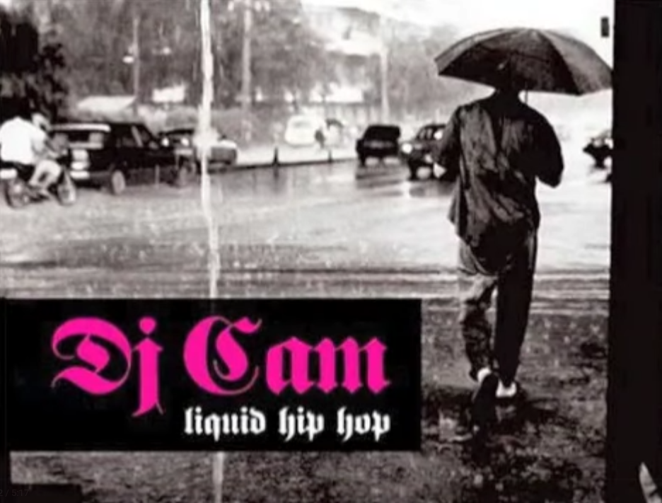 Dj Cam - Love junkee Feat Cameo