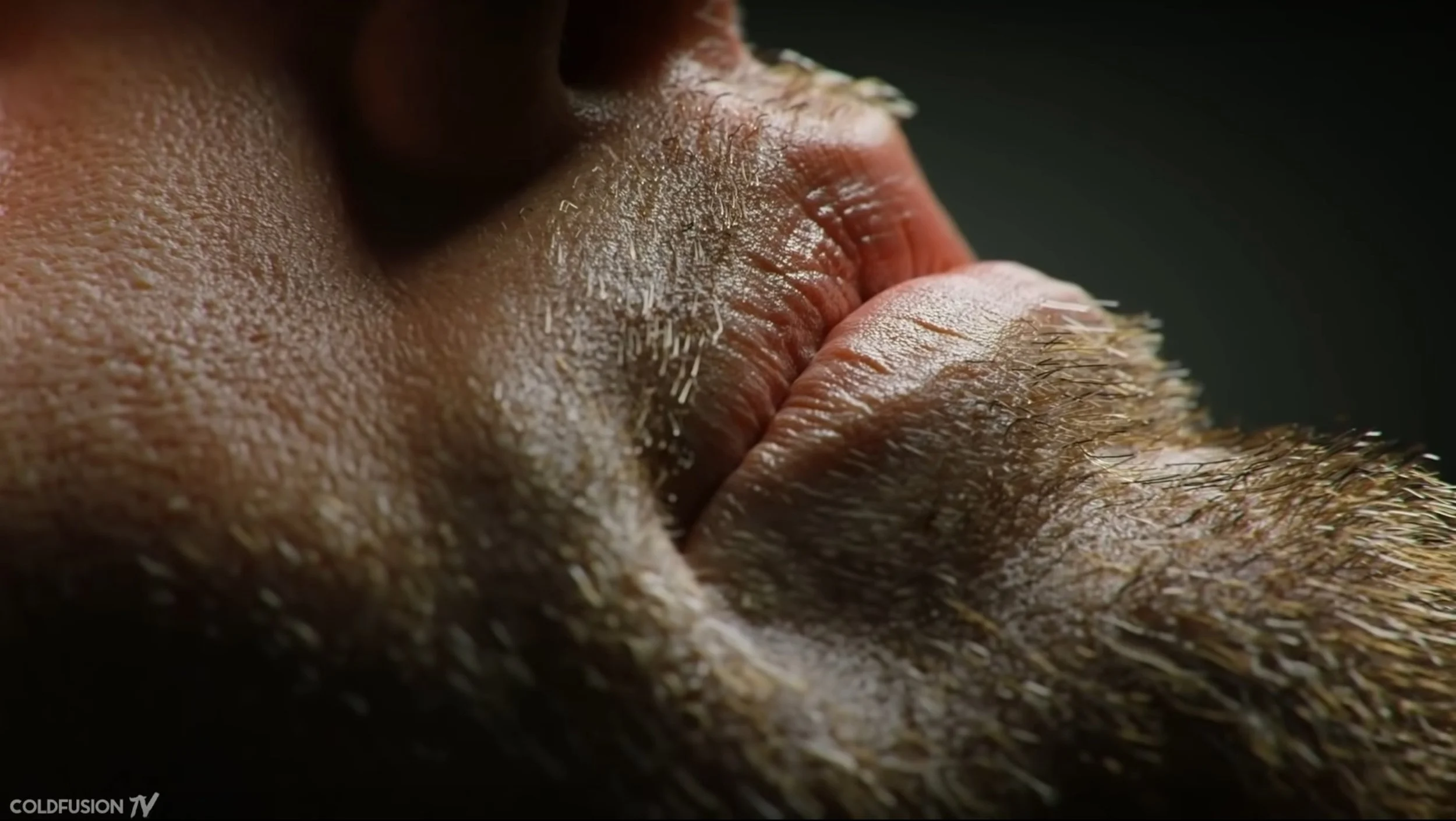 Future of Video Games - Cold Fusion TV