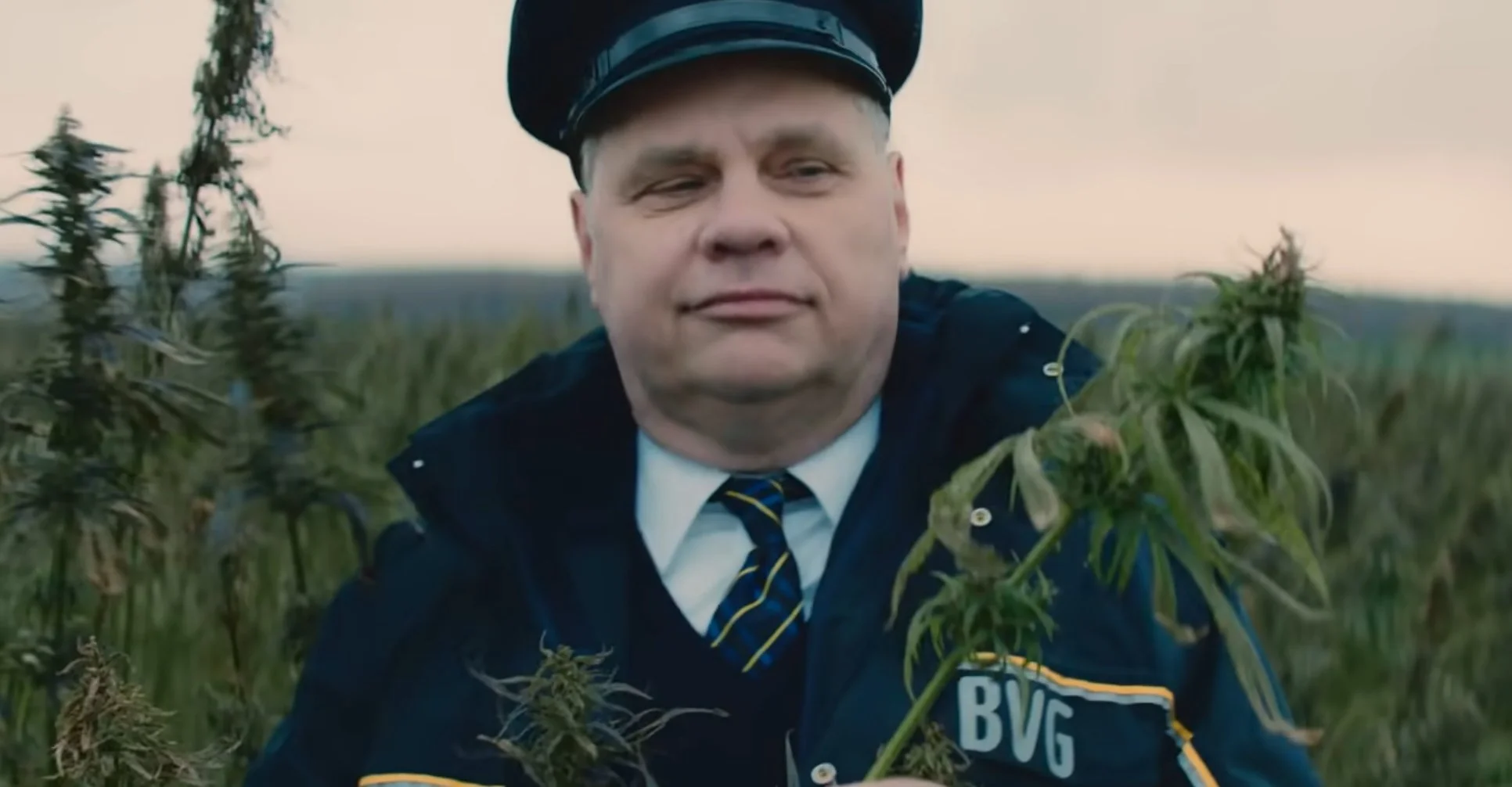 BVG auf CBD