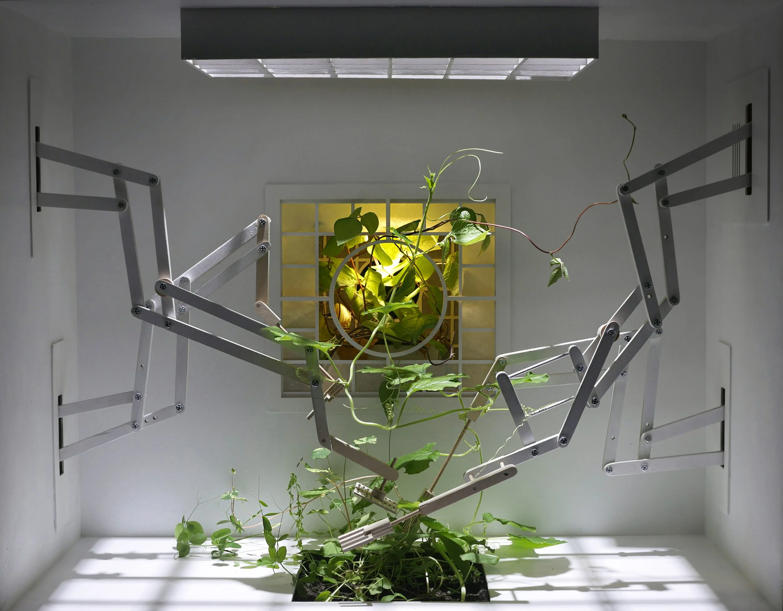 Kädet(kuva_videosta) .jpg