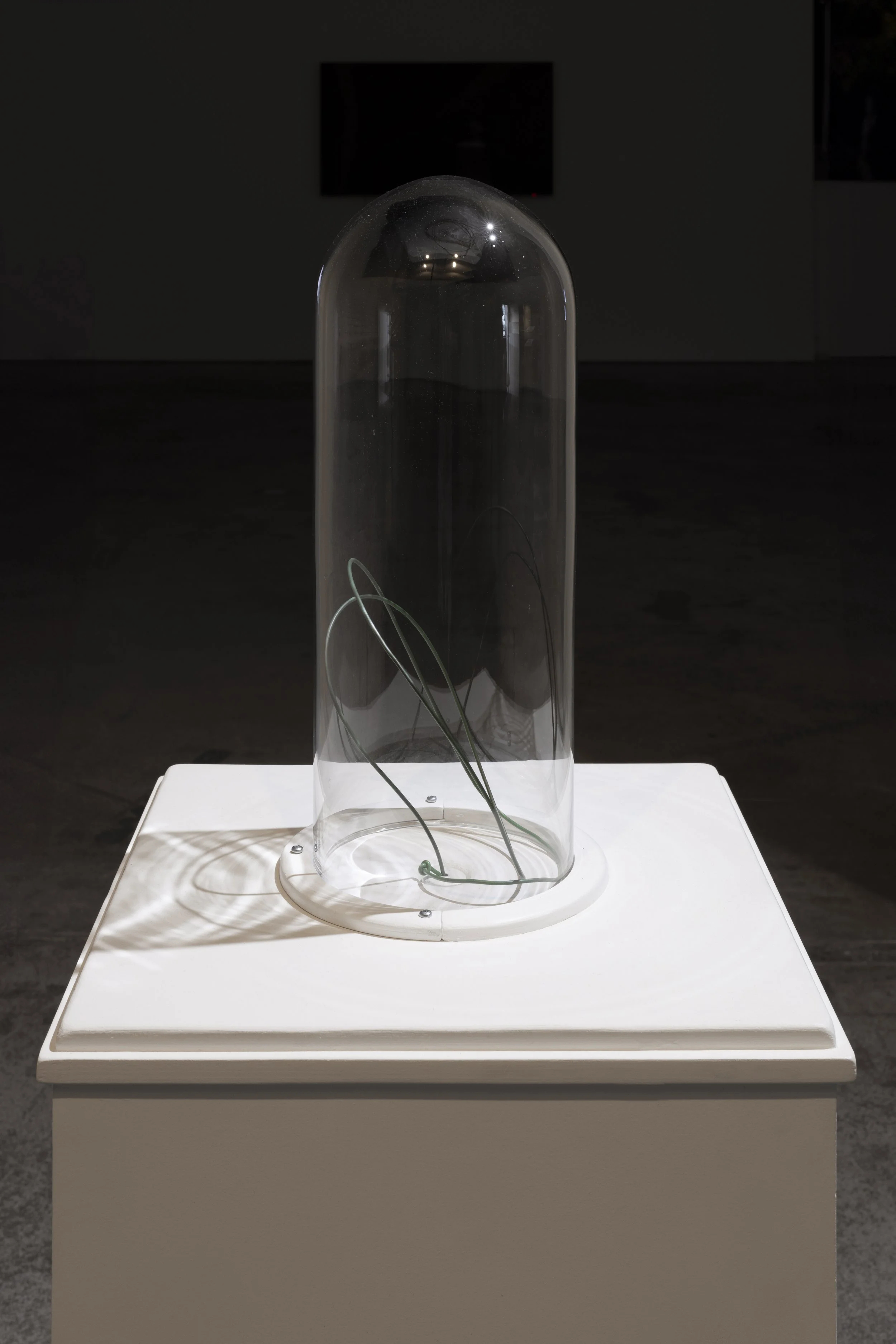 Petri Eskelinen_Entanglement_2025_kuva Anna Autio.jpg