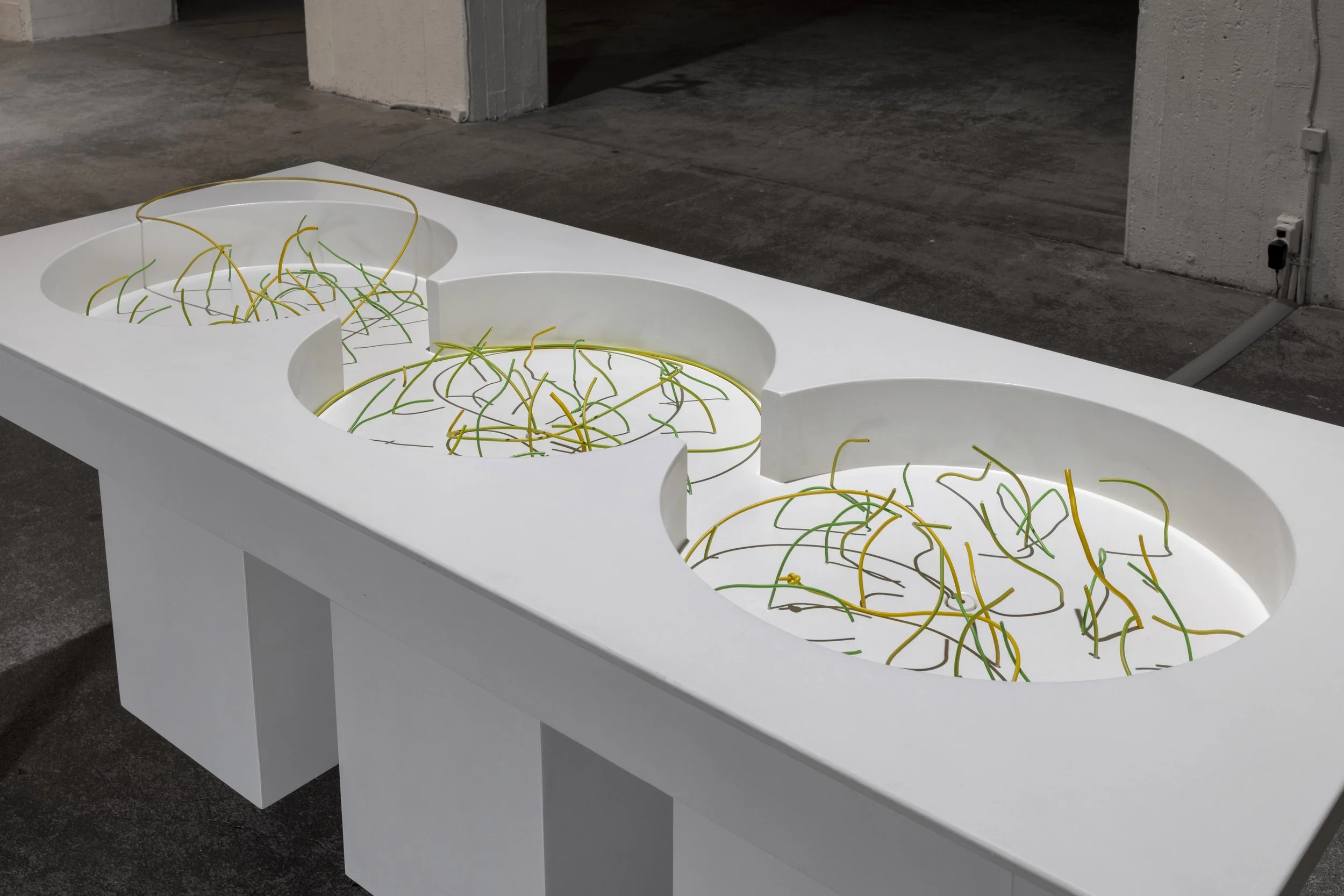 Pollination pools _Pölytysaltaat_ 2025_kuva Anna Autio12.jpg