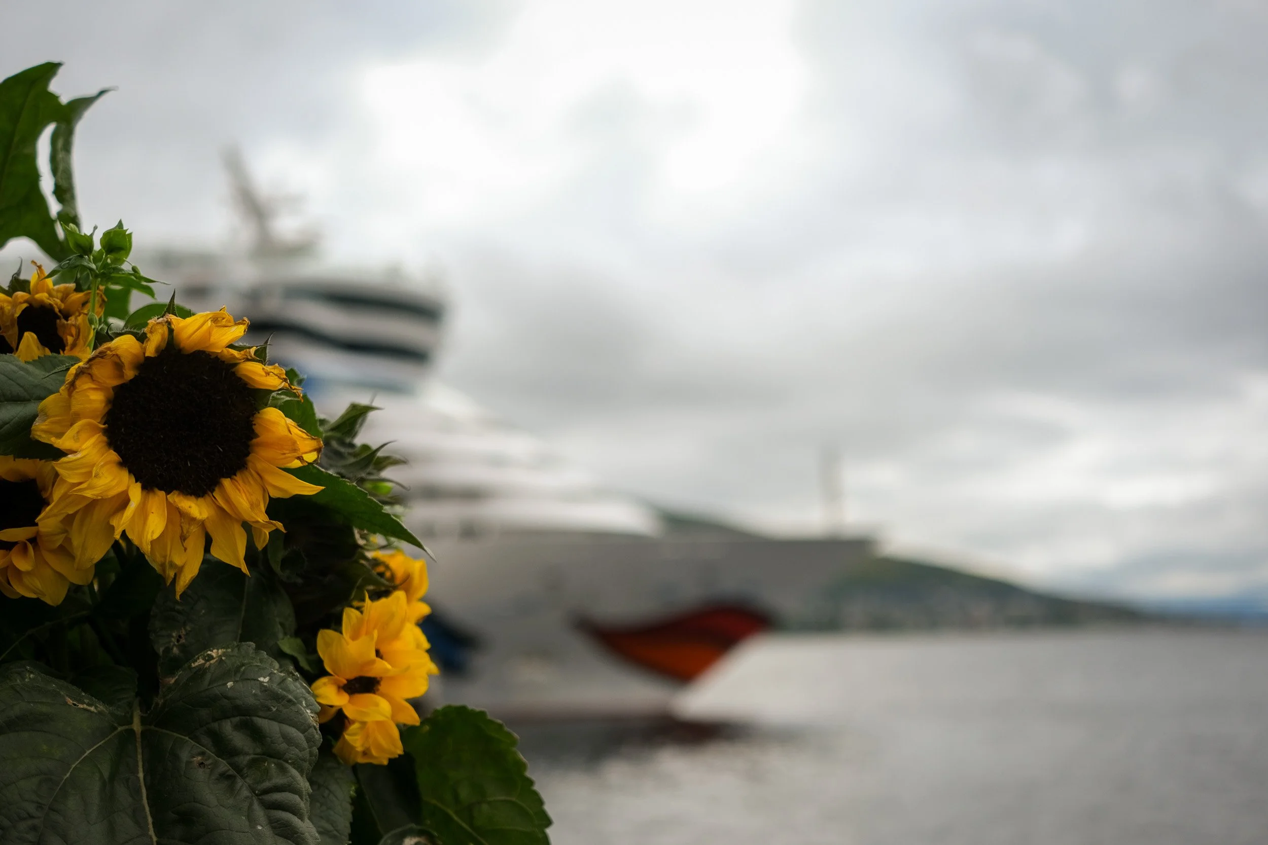 Narvik-17.jpg