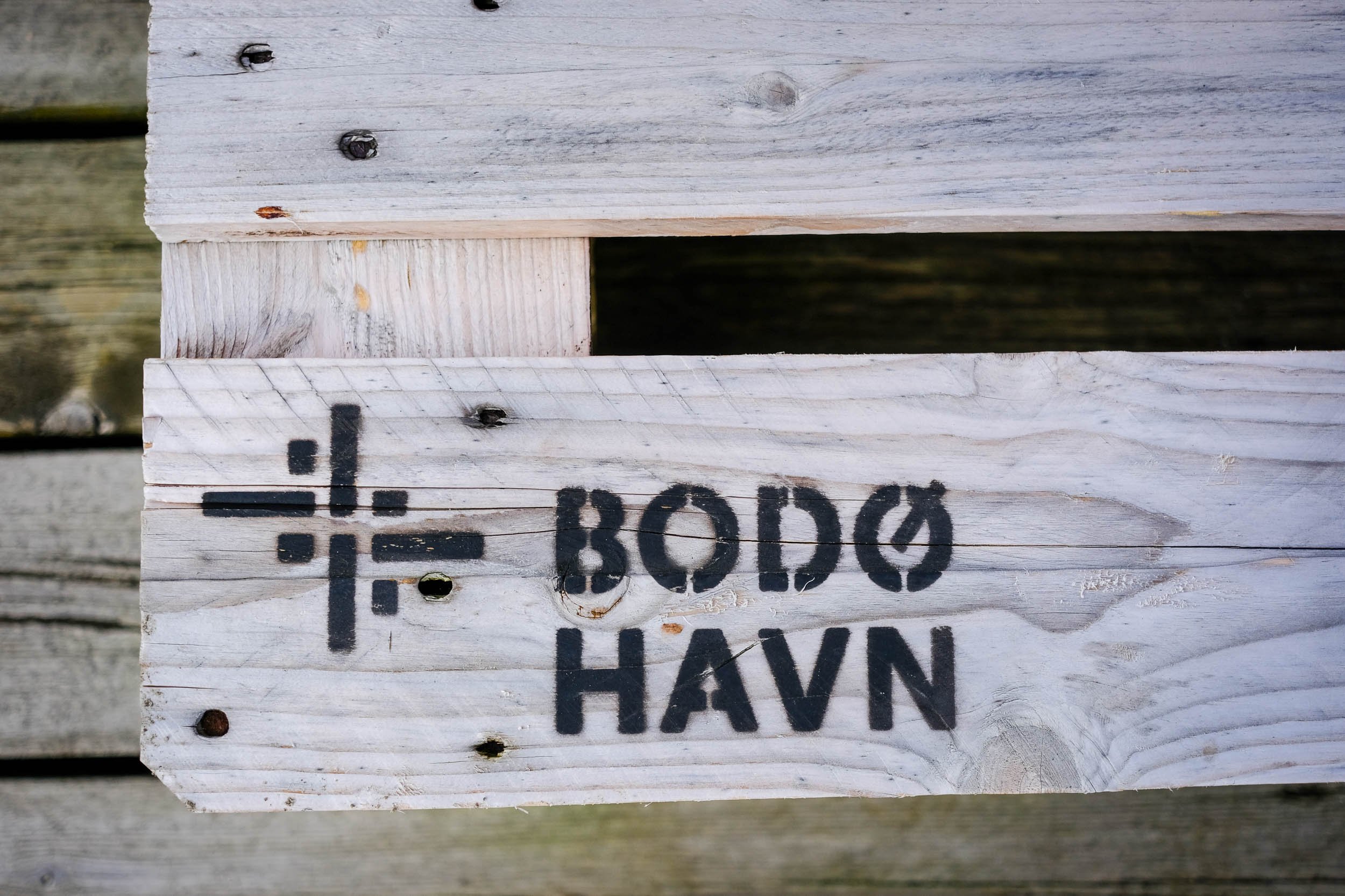 Bodo-10.jpg