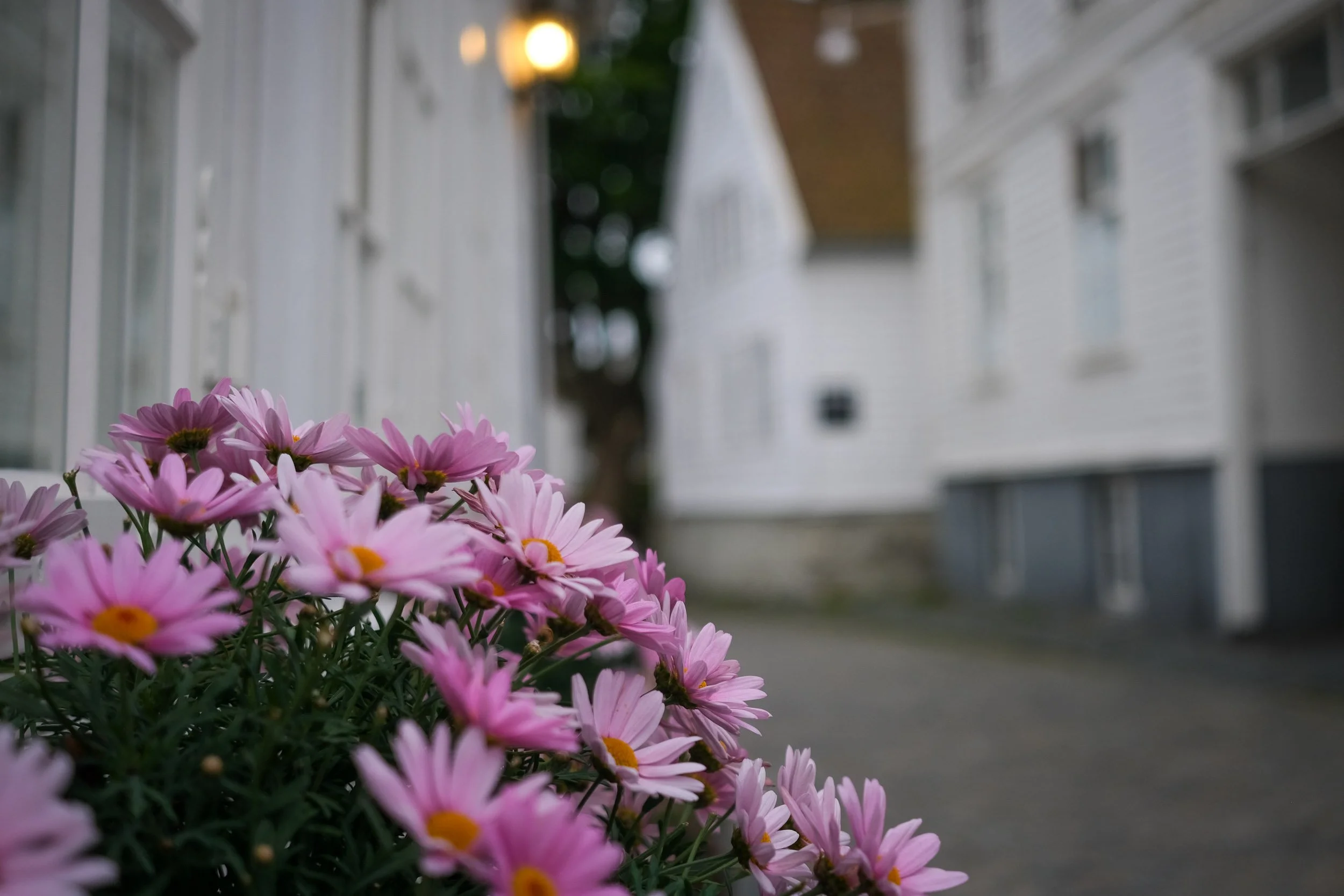 Norwegen-Unterwegs-67.jpg