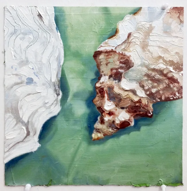 Still Life with Seashells, 2013