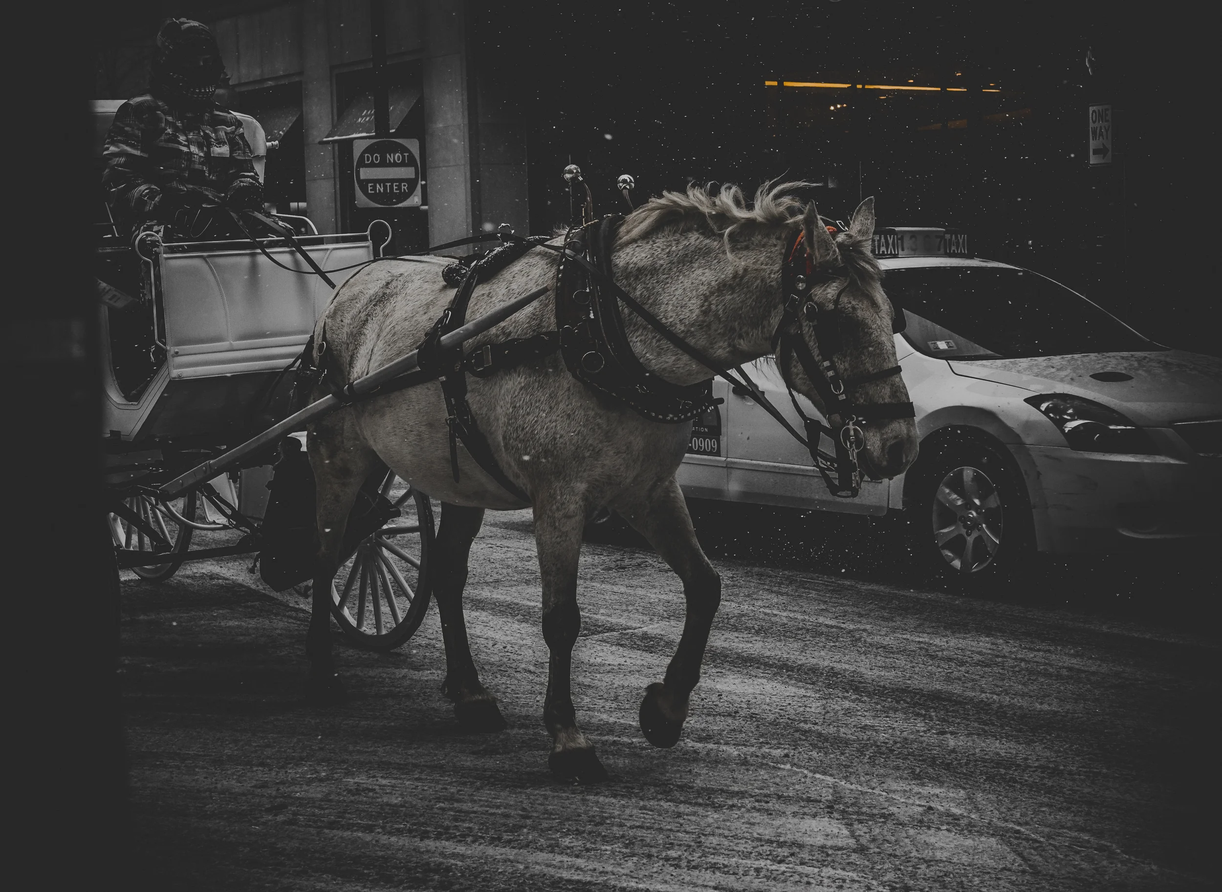 The Last Chariot.jpg