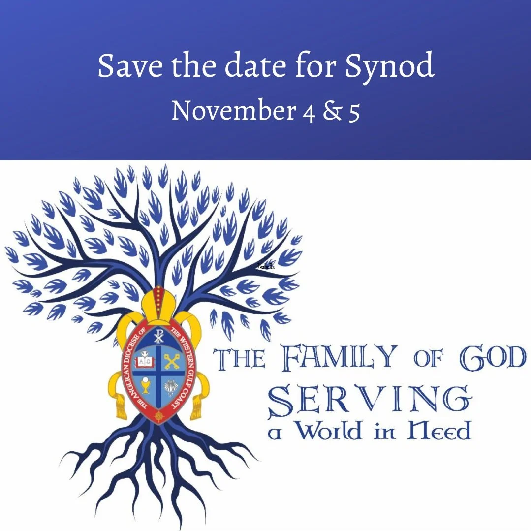 SYNOD 2022