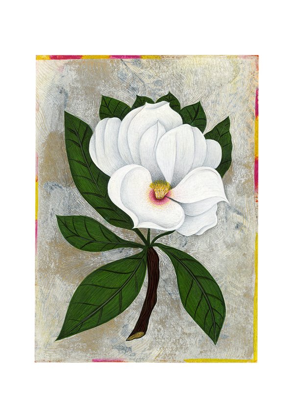 magnolia.web.jpg