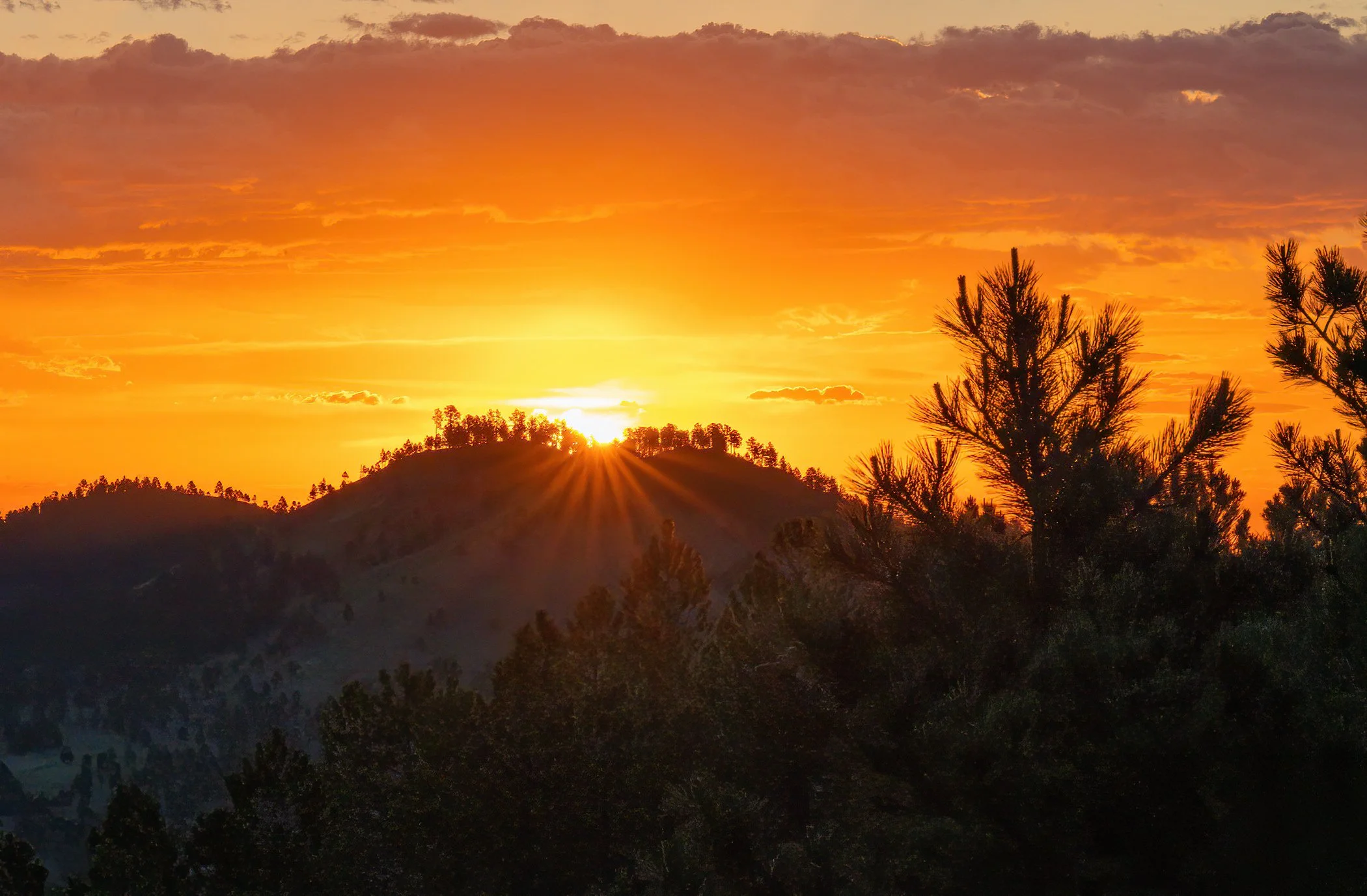South_Dakota_Custer_State_Park_Wildlife_Loop.jpg