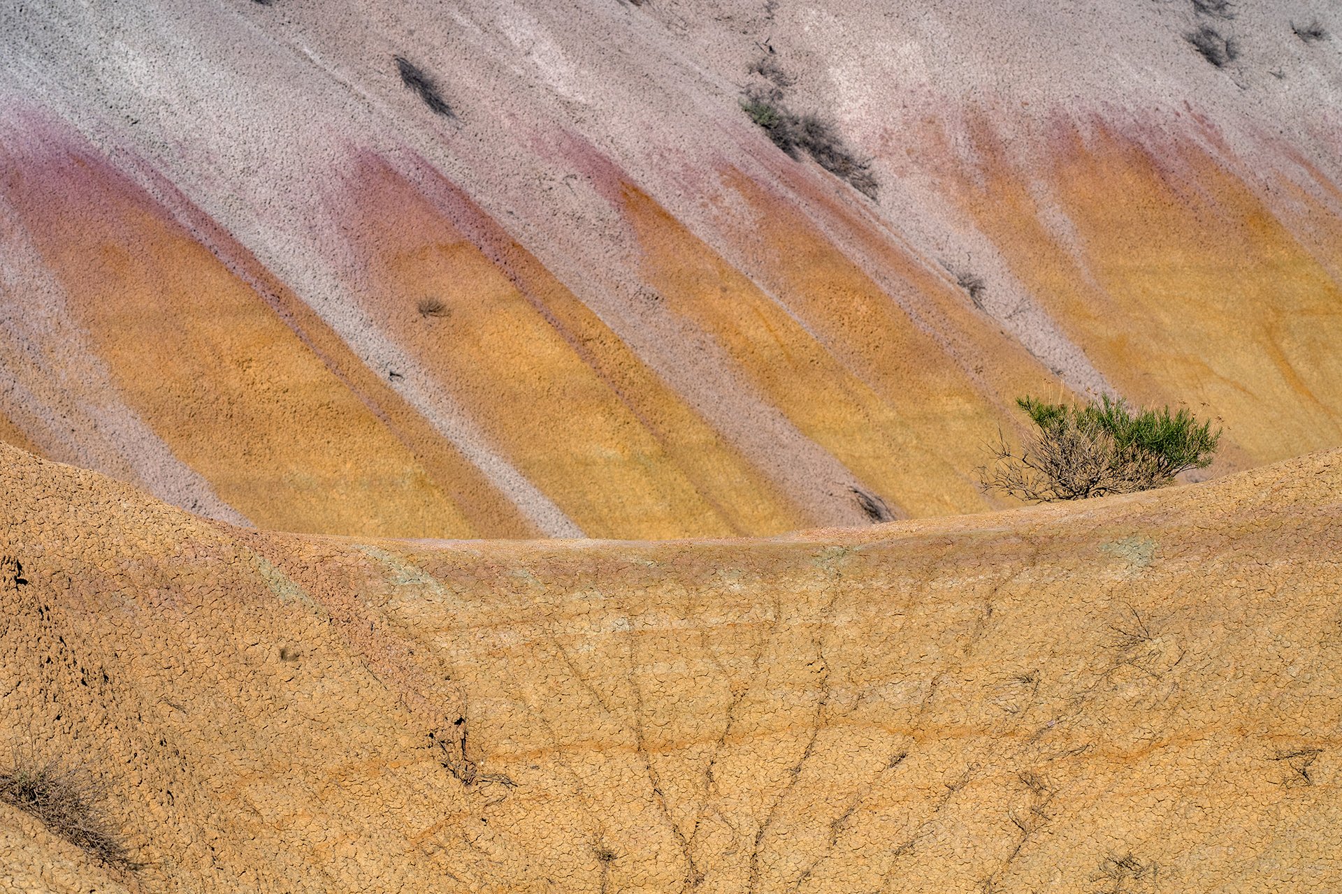 South_Dakota_Badlands_YellowMounds.jpg