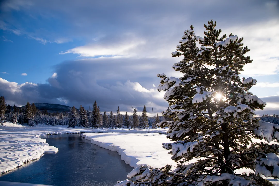 Yellowstone Winter Photo Tours And Workshops Slonina Nature