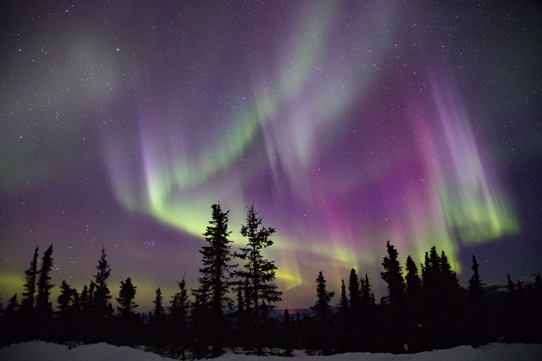 Alaska Northern Lights Aurora Photo Tours and Workshops — Slonina ...