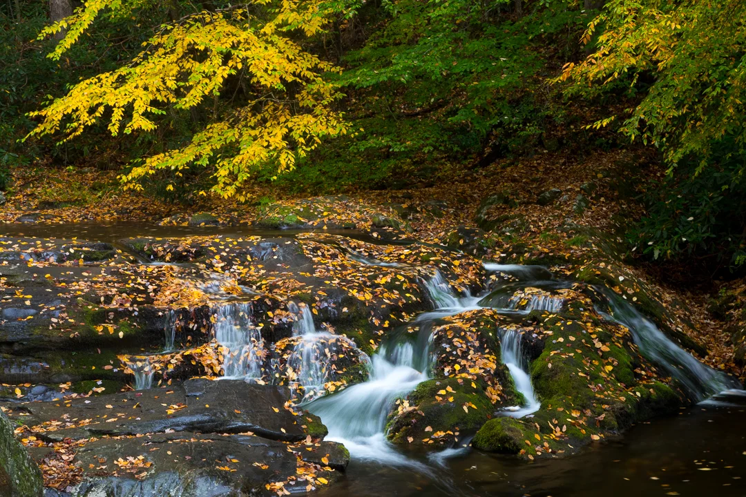 Rivers-Fall-Great-Smoky-Mountains_Photo_Tour_Workshop-9114.JPG