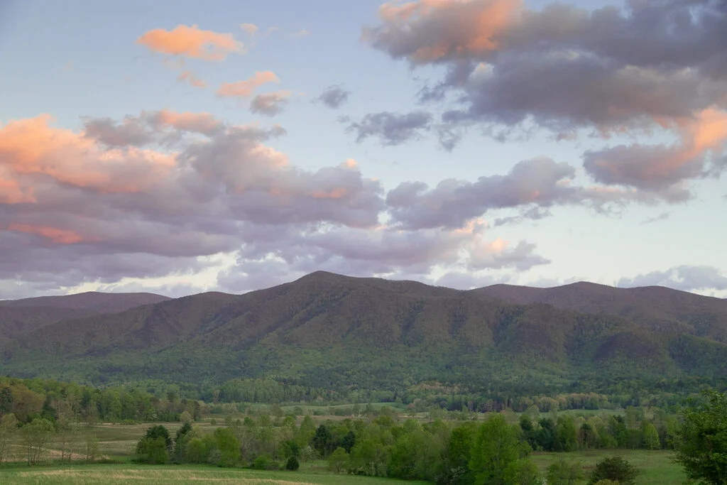 Great Smoky Mountains Photo Tours and Spring — Slonina Nature Photography