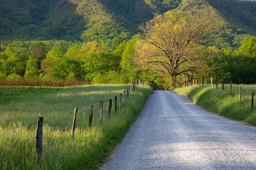 Great Smoky Mountains Photo Tours and Spring — Slonina Nature Photography