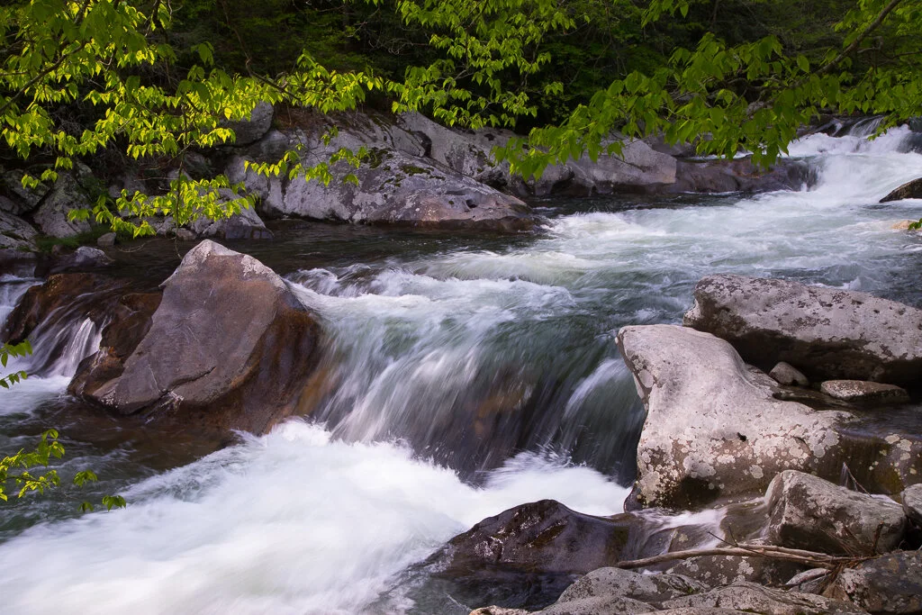Great Smoky Mountains Photo Tours and Spring — Slonina Nature Photography