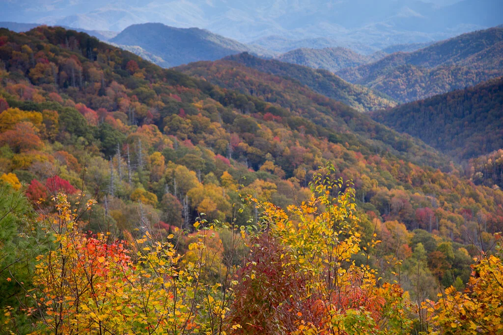 Great Smoky Mountains Photos — Slonina Nature Photography
