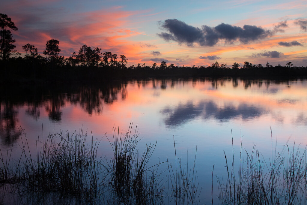Slonina Nature Photography, Florida Landscape Photography