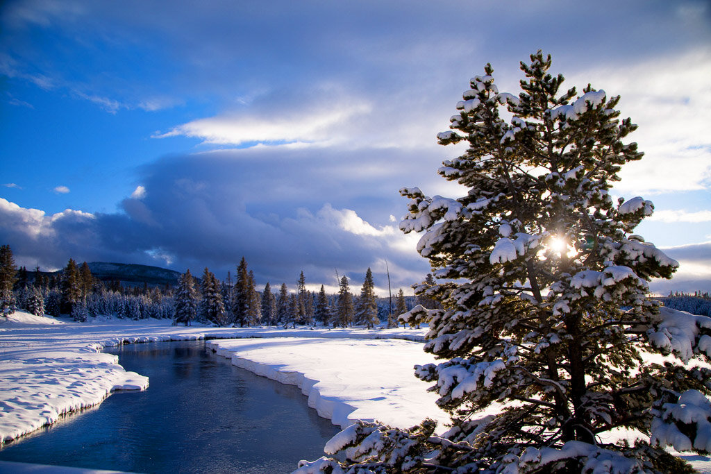 Yellowstone Winter Photo Tours and Workshops — Slonina Nature Photography