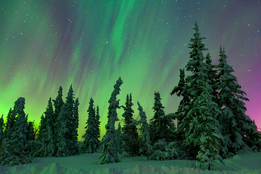 alaska_northern_lights_aurora_photo_tour_workshops-0224.jpg