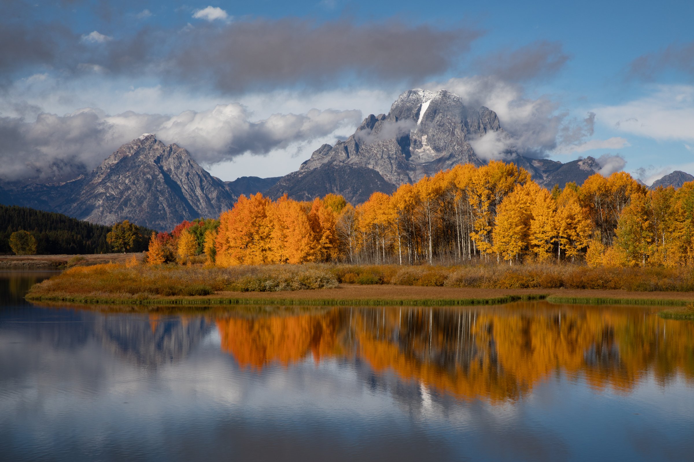 Grand_Teton_Spring_Wildflower_photo_tour_workshops-660.jpg