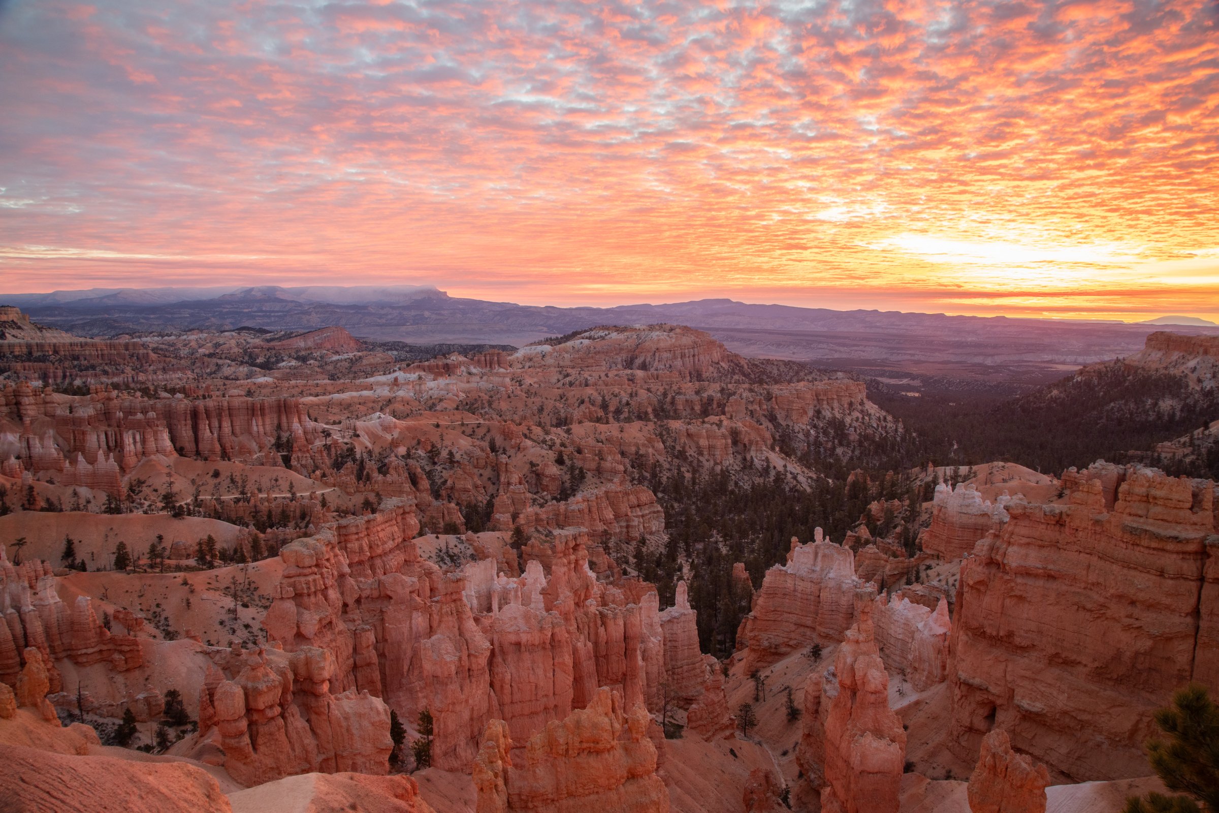 Bryce Canyon Photo Workshop