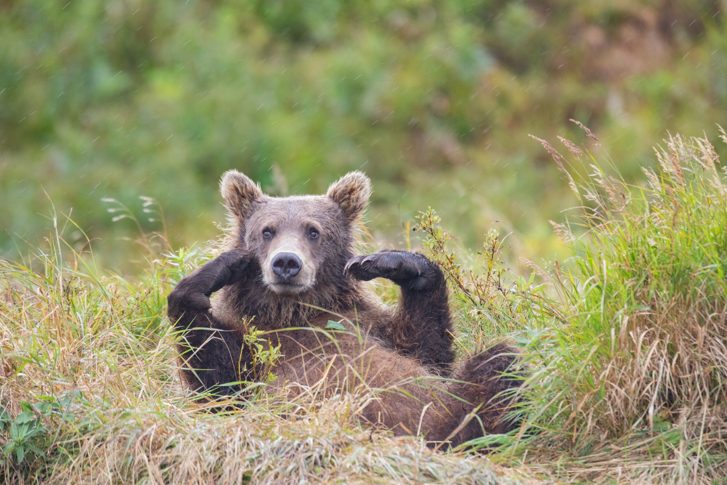  Alaska Photo Tours and Workshops 