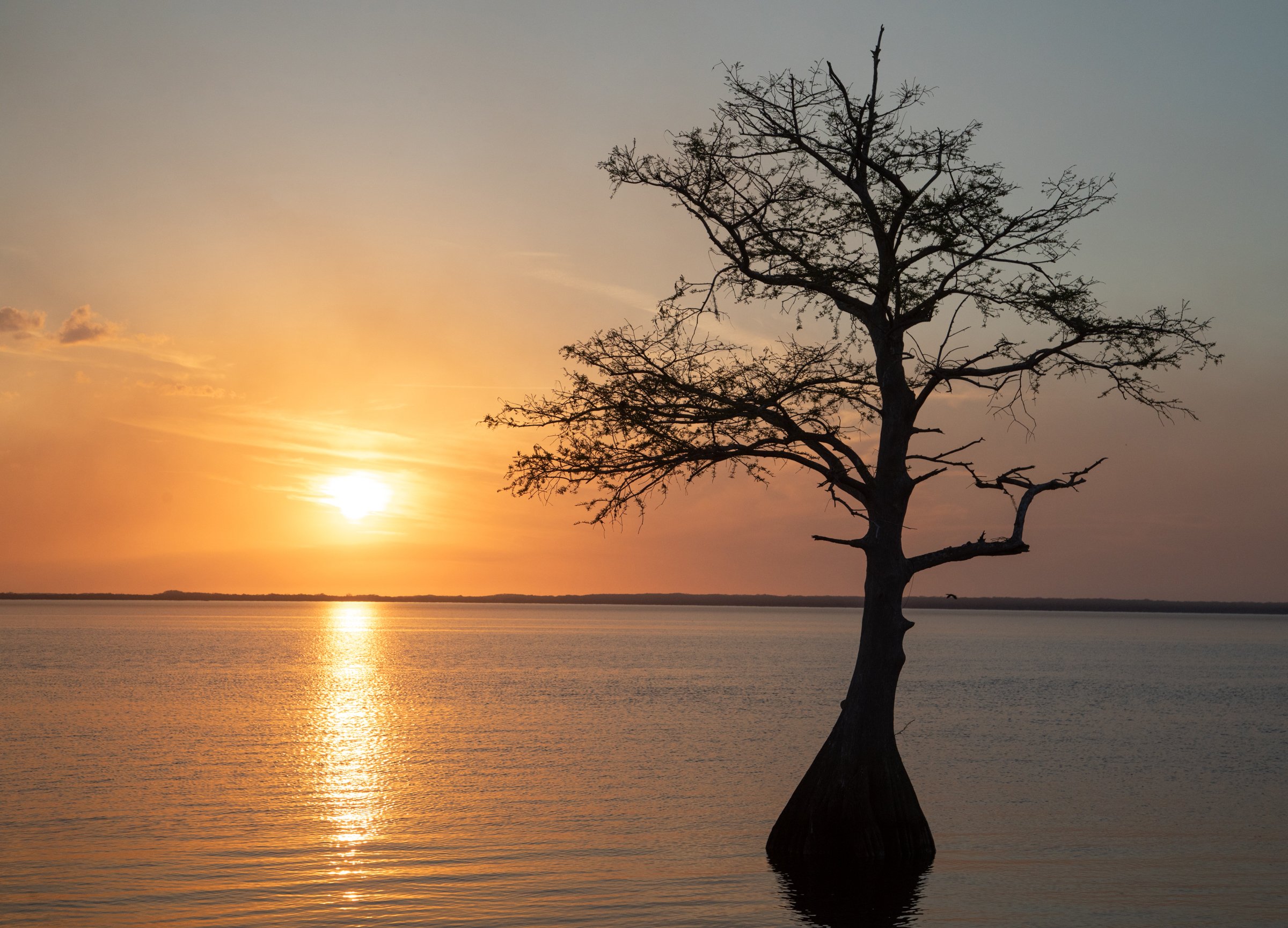 blue_cyress_lake_florida_photo_tour_workshop-8677.jpg