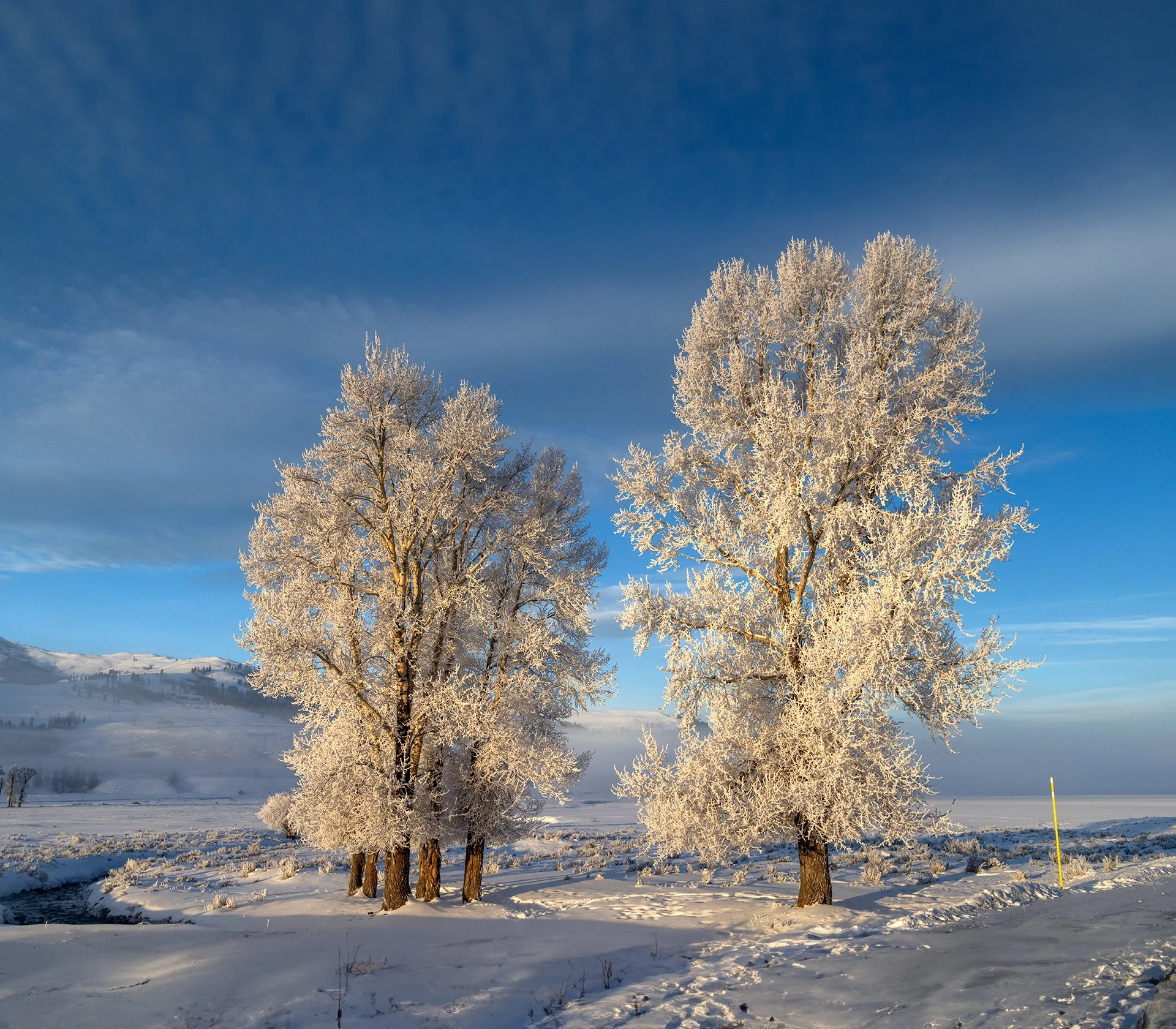 Yellowstone_Winter_Photo_Tour_Workshop-7737-Edit.jpg