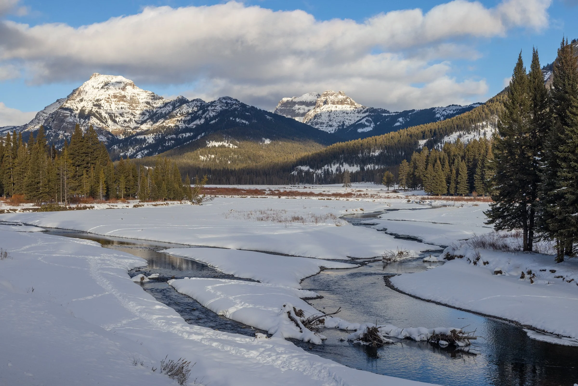 Yellowstone_Winter_Photo_Tour_Workshop-2688-Edit.jpg