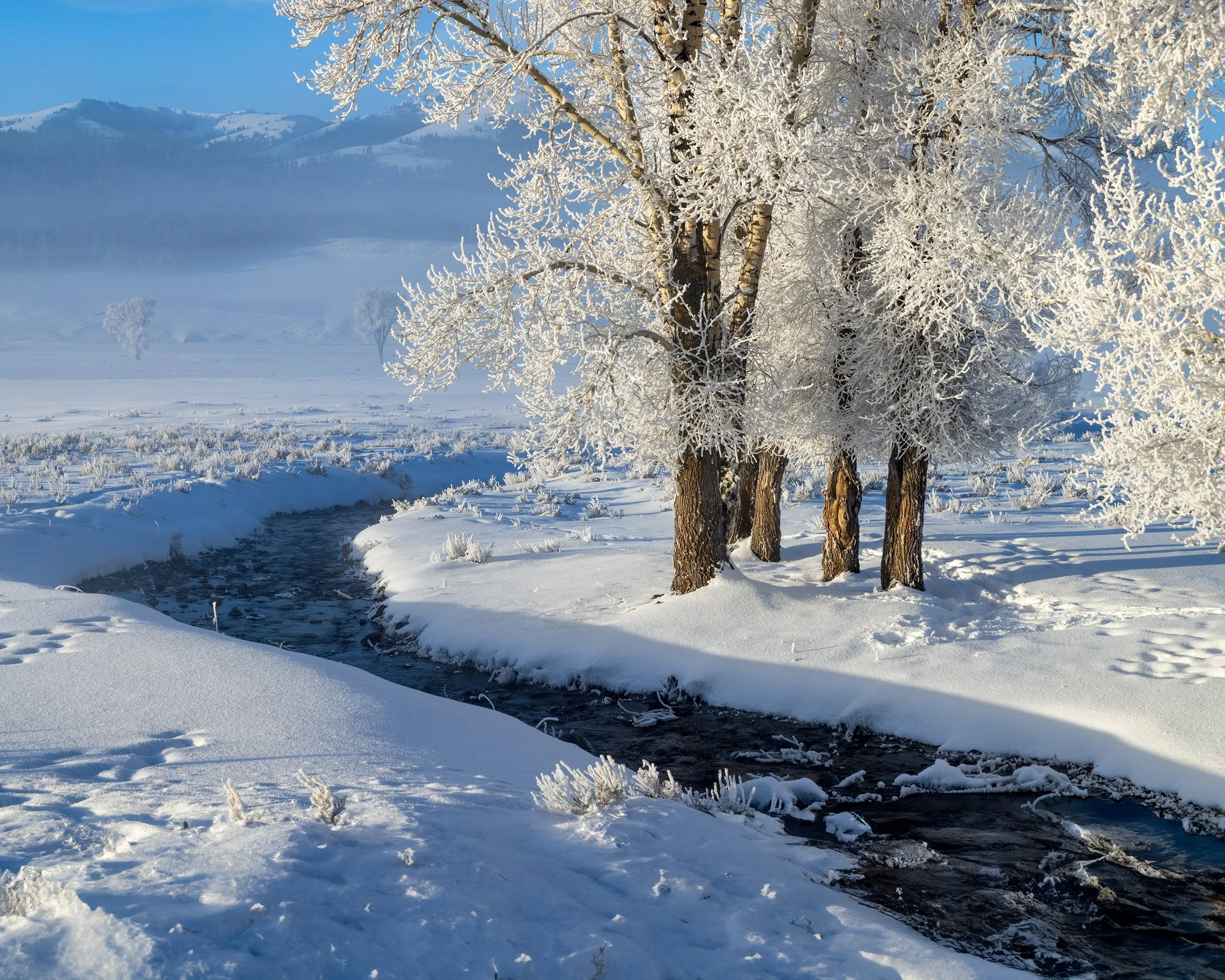 Yellowstone_Winter_Photo_Tour_Workshop-7862-Edit.jpg