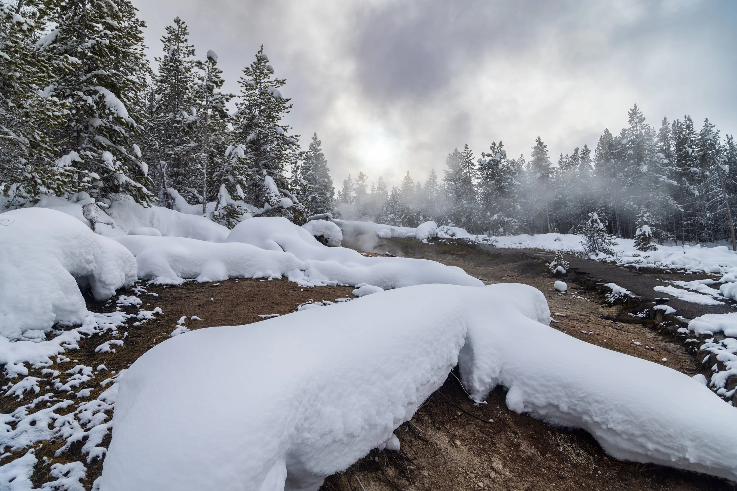 Yellowstone_Winter_Photo_Tour_Workshop-8282-Edit.jpg